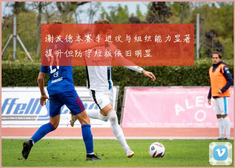 谢泼德本赛季进攻与组织能力显著提升但防守短板依旧明显