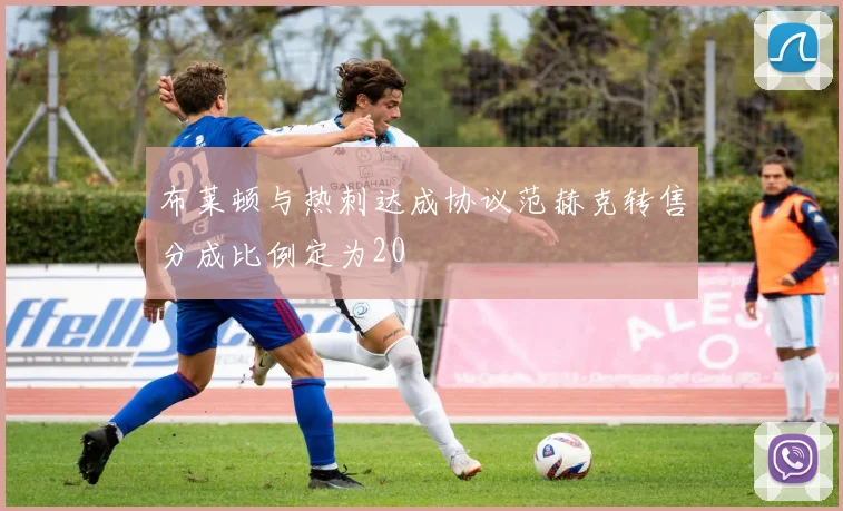 布莱顿与热刺达成协议范赫克转售分成比例定为20